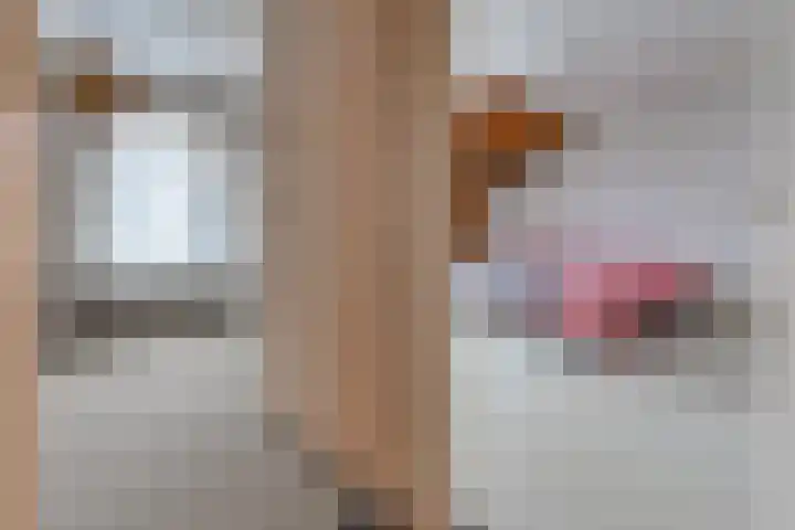 Reigerhof 47 Ter Apel thumbnail 35