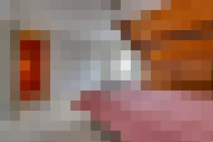 Reigerhof 47 Ter Apel thumbnail 37