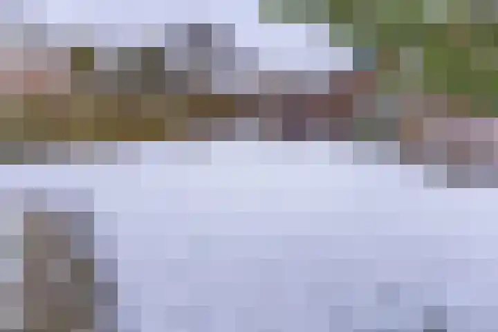 Reigerhof 47 Ter Apel thumbnail 38