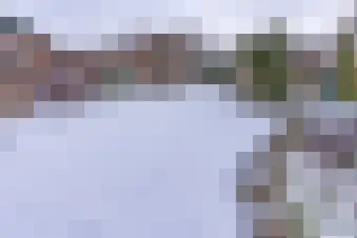 Reigerhof 47 Ter Apel thumbnail 39