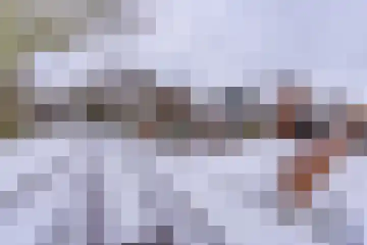 Reigerhof 47 Ter Apel thumbnail 4