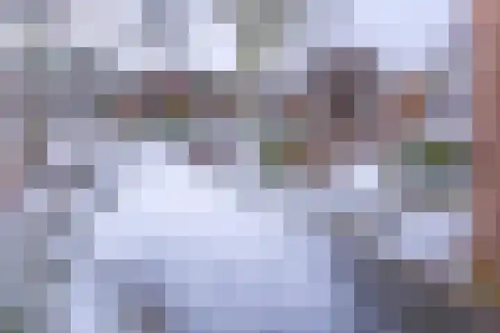 Reigerhof 47 Ter Apel thumbnail 7