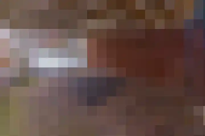 Reigerhof 47 Ter Apel thumbnail 8