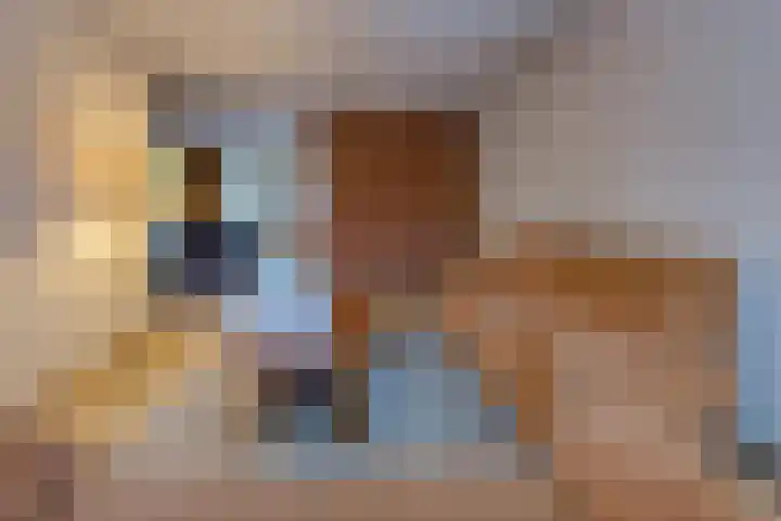 Reigerhof 47 Ter Apel thumbnail 9