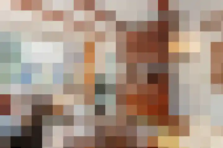 Reigerhof 5 Rockanje thumbnail 10