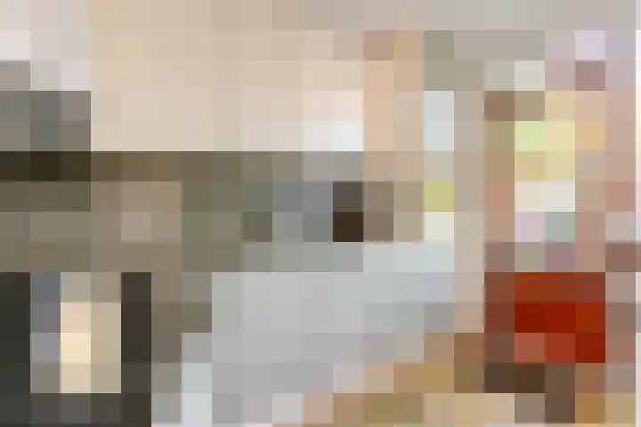 Reigerhof 5 Rockanje thumbnail 13