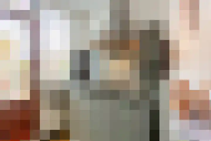 Reigerhof 5 Rockanje thumbnail 14