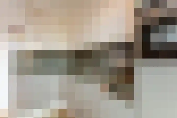 Reigerhof 5 Rockanje thumbnail 15