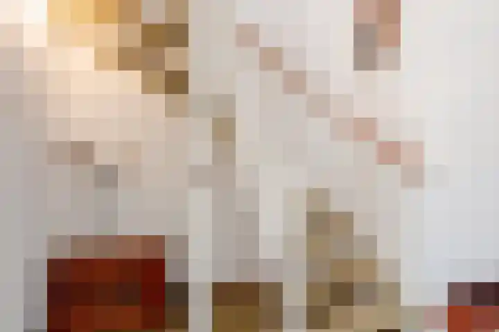 Reigerhof 5 Rockanje thumbnail 16