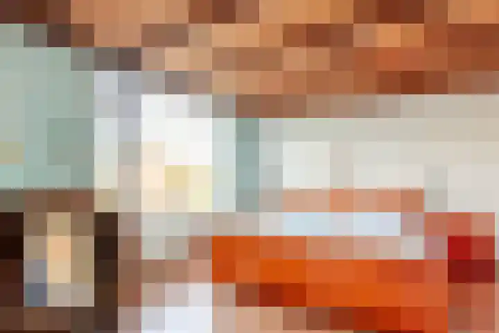 Reigerhof 5 Rockanje thumbnail 17