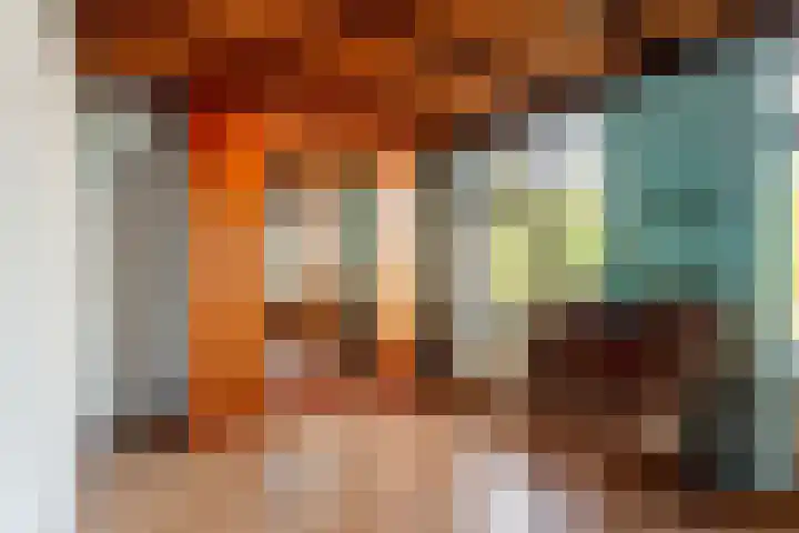 Reigerhof 5 Rockanje thumbnail 20