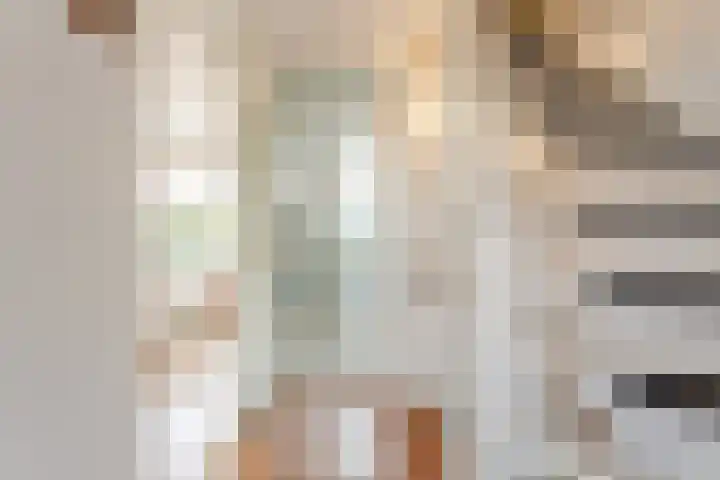 Reigerhof 5 Rockanje thumbnail 25