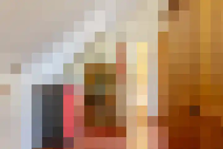 Reigerhof 5 Rockanje thumbnail 30