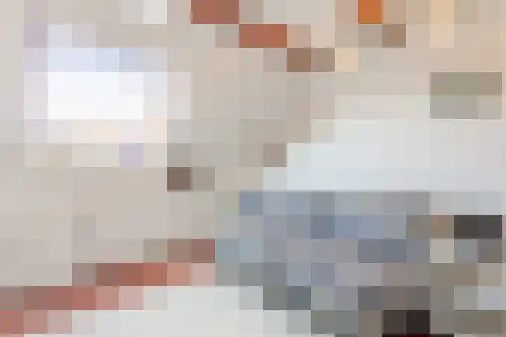 Reigerhof 5 Rockanje thumbnail 32