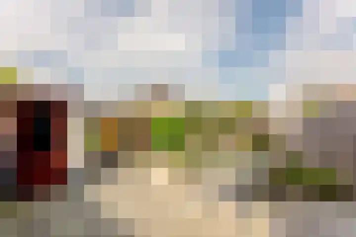 Reigerhof 5 Rockanje thumbnail 34