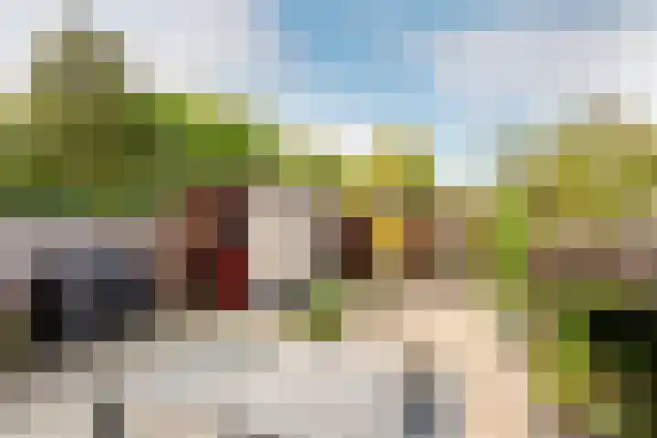 Reigerhof 5 Rockanje thumbnail 35