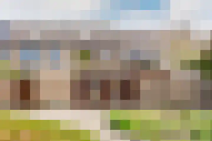 Reigerhof 5 Rockanje thumbnail 36