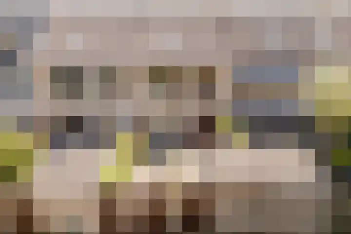 Reigerhof 5 Rockanje thumbnail 37