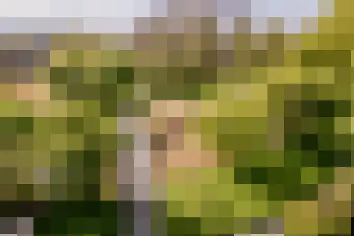 Reigerhof 5 Rockanje thumbnail 38