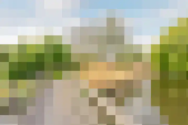 Reigerhof 5 Rockanje thumbnail 39