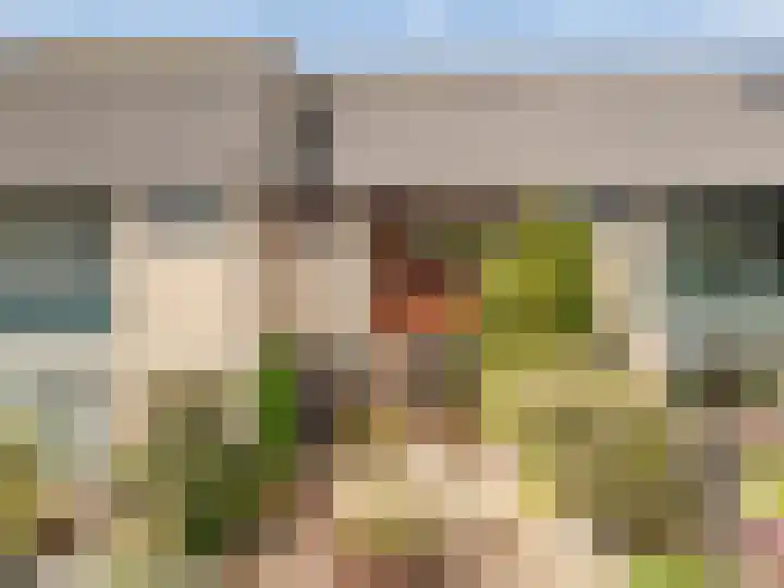 Reigerhof 5 Rockanje thumbnail 46