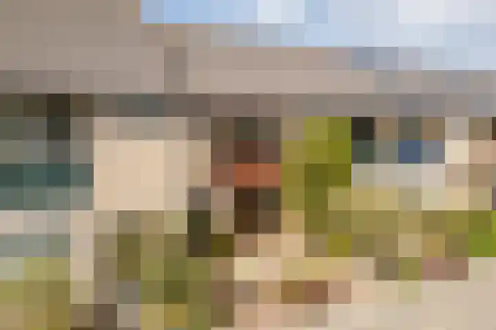 Reigerhof 5 Rockanje thumbnail 5