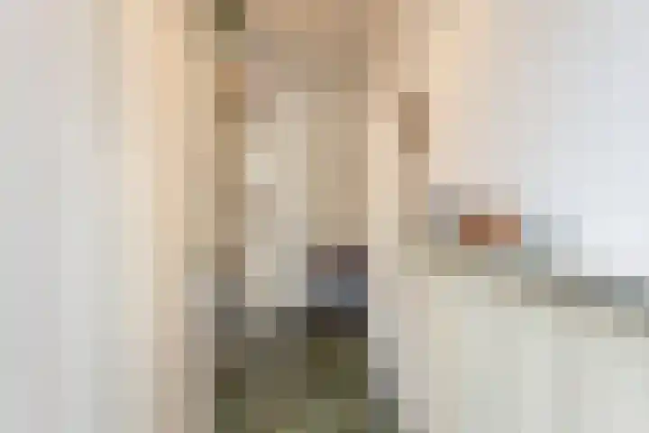 Reigerhof 5 Rockanje thumbnail 8