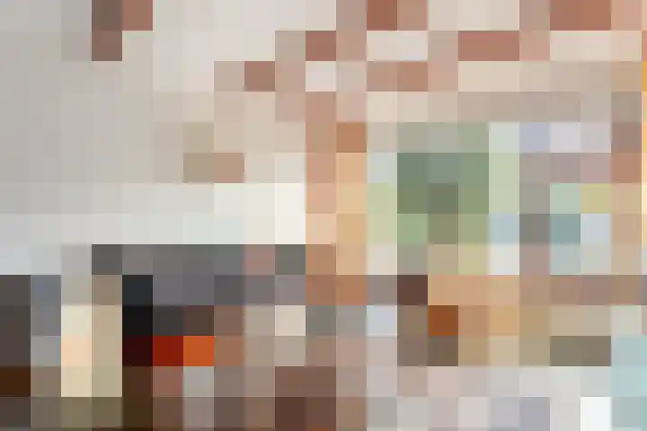 Reigerhof 5 Rockanje thumbnail 9