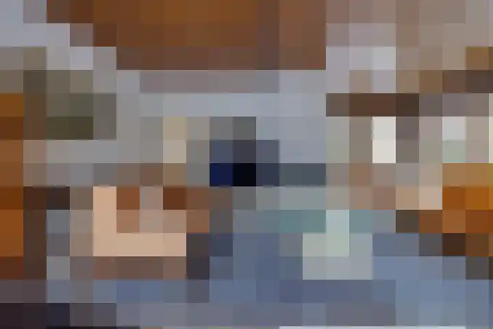 Reigerhof 60 Ter Apel thumbnail 13