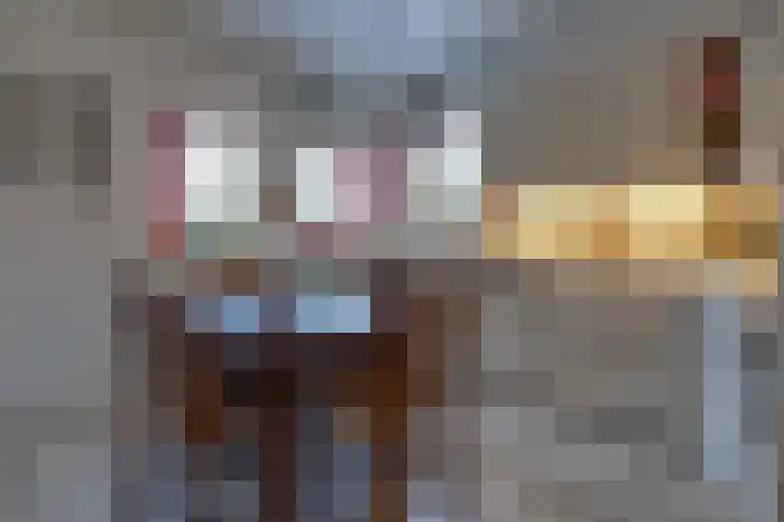 Reigerhof 60 Ter Apel thumbnail 14