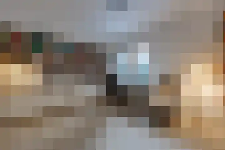 Reigerhof 60 Ter Apel thumbnail 17