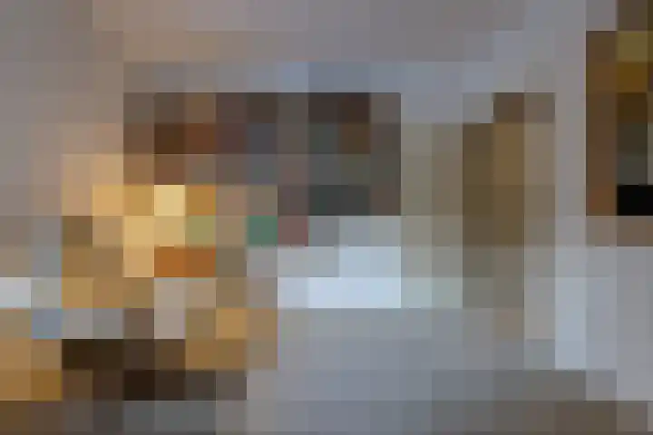 Reigerhof 60 Ter Apel thumbnail 18