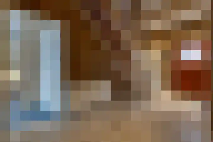 Reigerhof 60 Ter Apel thumbnail 21