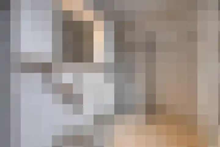 Reigerhof 60 Ter Apel thumbnail 24