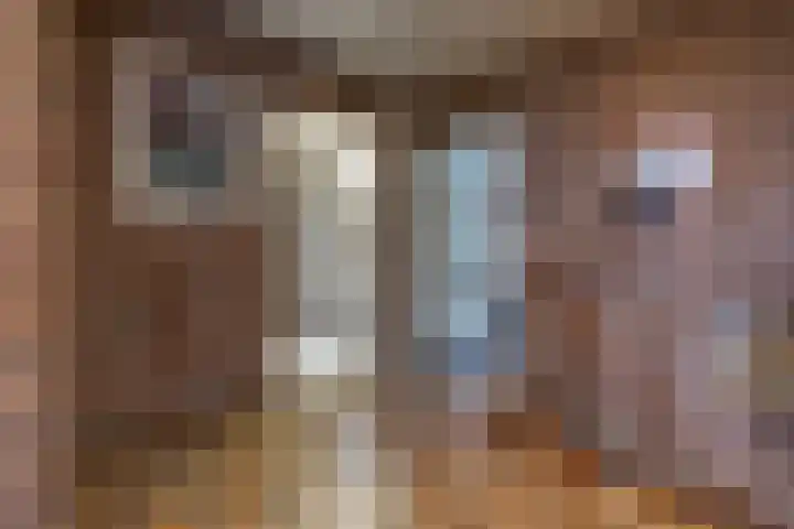 Reigerhof 60 Ter Apel thumbnail 32
