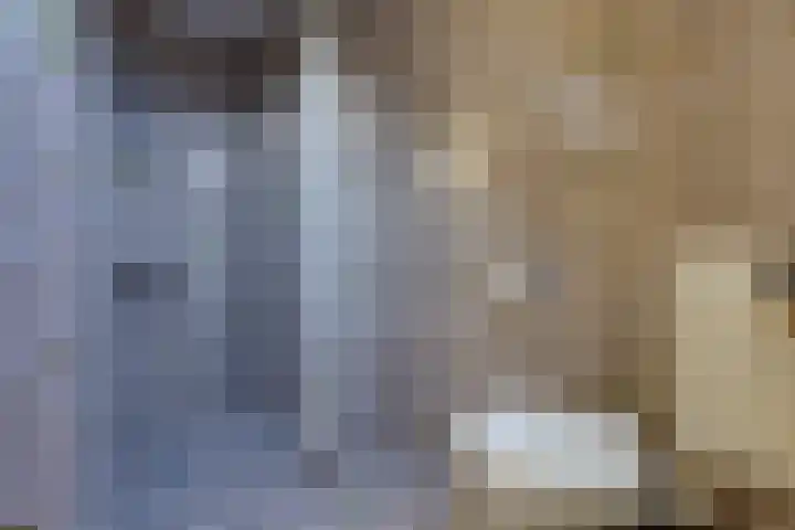 Reigerhof 60 Ter Apel thumbnail 34