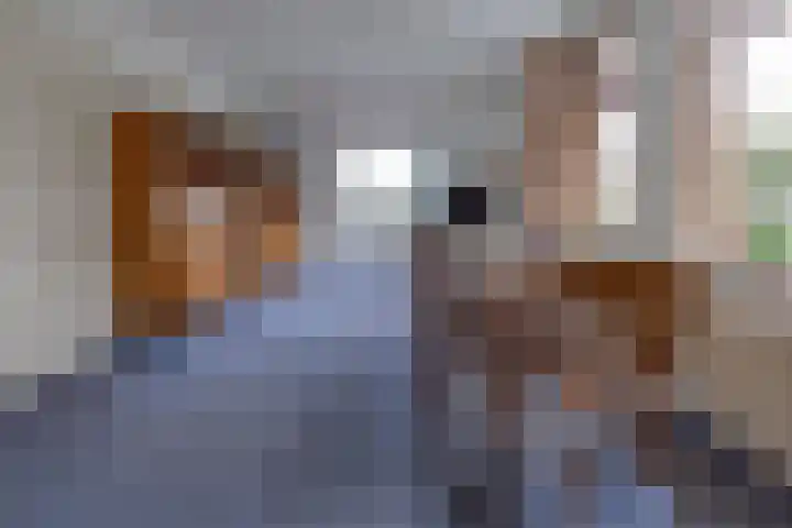Reigerhof 60 Ter Apel thumbnail 35