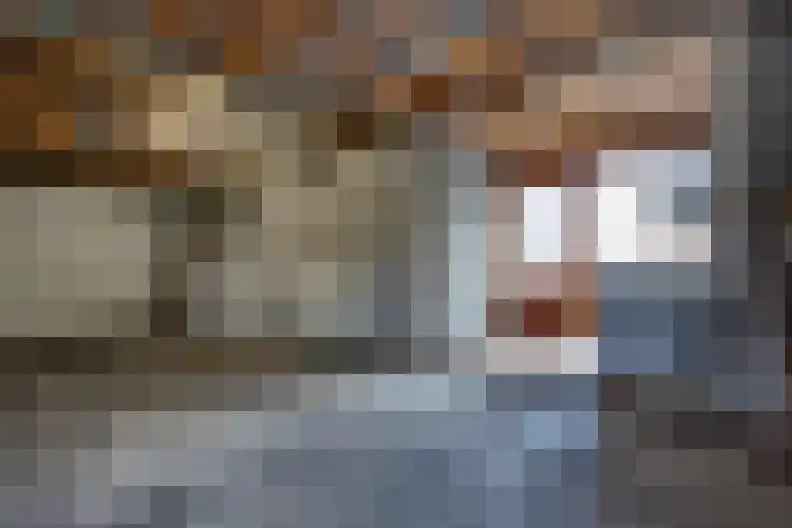 Reigerhof 60 Ter Apel thumbnail 39