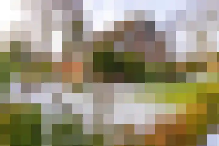Reigerhof 60 Ter Apel thumbnail 4