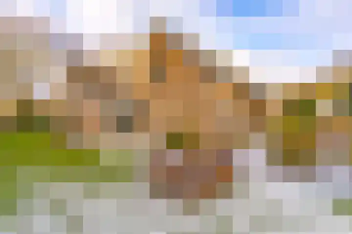 Reigerhof 60 Ter Apel thumbnail 40