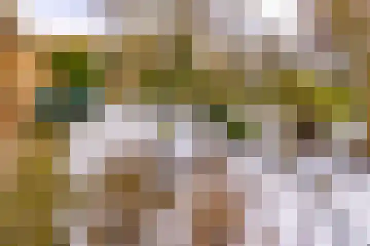 Reigerhof 60 Ter Apel thumbnail 41