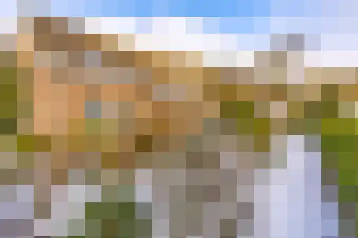 Reigerhof 60 Ter Apel thumbnail 42