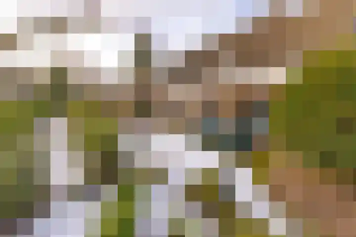 Reigerhof 60 Ter Apel thumbnail 44