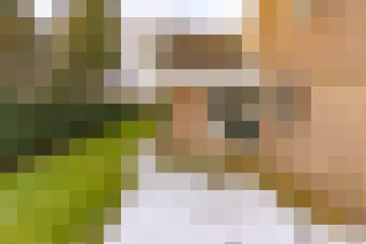 Reigerhof 60 Ter Apel thumbnail 45