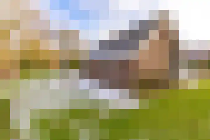 Reigerhof 60 Ter Apel thumbnail 46