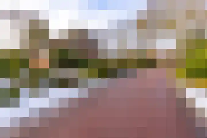 Reigerhof 60 Ter Apel thumbnail 6