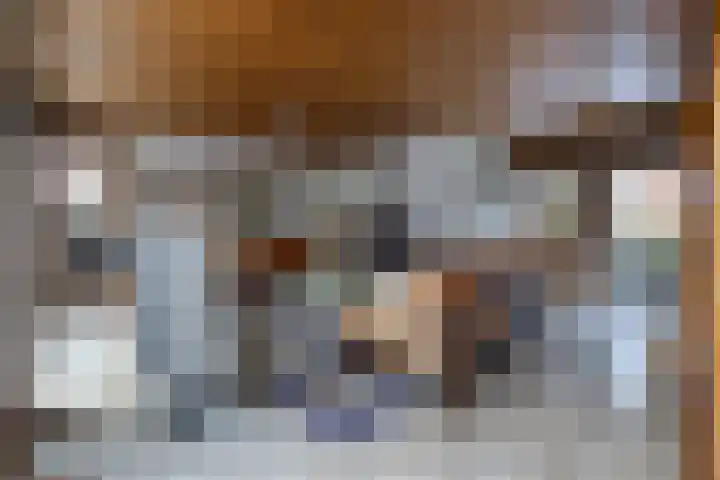 Reigerhof 60 Ter Apel thumbnail 8