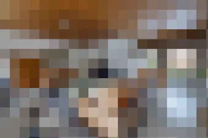 Reigerhof 60 Ter Apel thumbnail 9