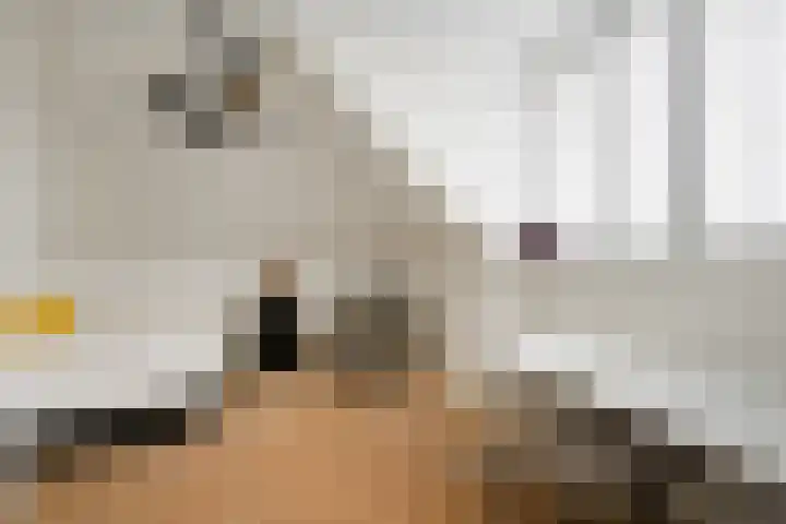 Reigerlaan 1 Heemstede thumbnail 24