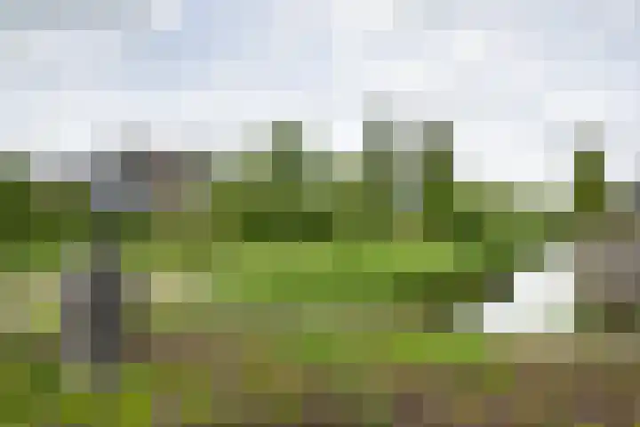 Reigerlaan 1 Heemstede thumbnail 30